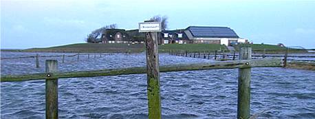 Hallig im nordfriesischen Wattenmeer