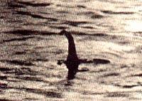 Das soll Nessie sein?