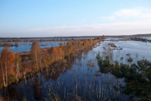 Tister Bauernmoor bei Sittensen