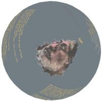 WilliZ Website im UBrowser