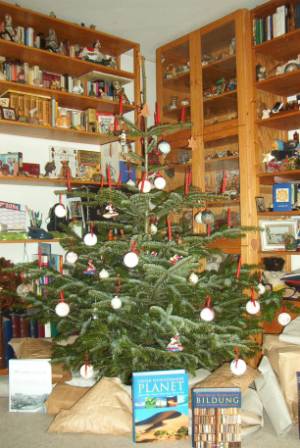 Unser Weihnachtsbaum 2004
