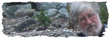 WilliZ Gedanken-Welt