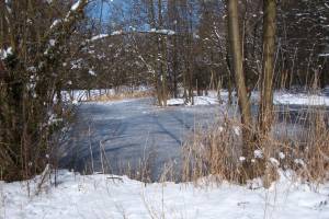 Winter in Tostedt (12.03.2006)