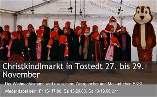Christkindlmarkt Tostedt 2009