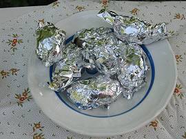 Eröffnung der Grillsaison 2011 bei AlbinZ