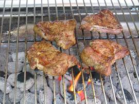 Eröffnung der Grillsaison 2011 bei AlbinZ