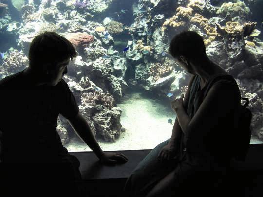 Hagenbecks Tierpark – Aquarium