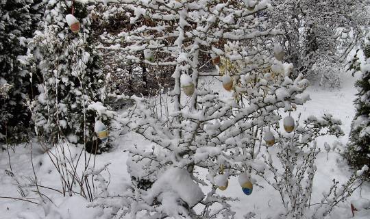 Ostereier im Schnee (Ende März 2008)