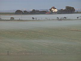 Abendlicher Nebel auf der Insel Neuwerk
