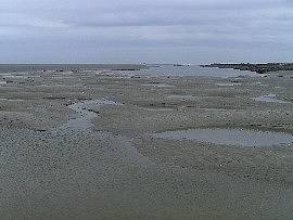 Wattenmeer bei der Insel Neuwerk: Priele