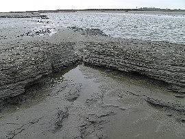 Wattenmeer bei der Insel Neuwerk: Schlick & Priel