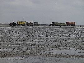 Traktoren Richtung Neuwerk