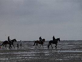 Reiter Richtung Festland