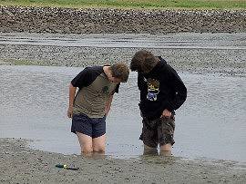 Versinken im Schlick