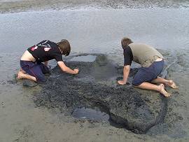 Burgbauen im Watt von Neuwerk