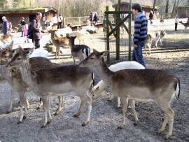 Wildpark Lüneburger Heide Nindorf-Hanstedt