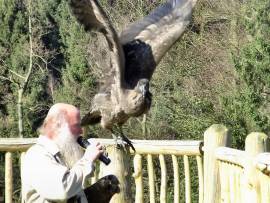 Wildpark Lüneburger Heide Nindorf-Hanstedt