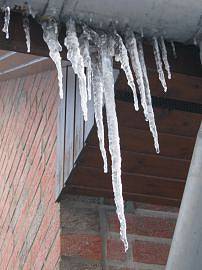 Winter in AlbinZ Garten: Dezember 2010