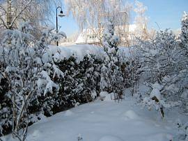 Winter in AlbinZ Garten: Dezember 2010
