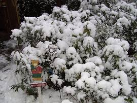 Wintereinbruch 23.01.2009 im Norden