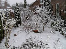 Wintereinbruch 23.01.2009 im Norden