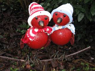 ‚Vögel’ im Regen