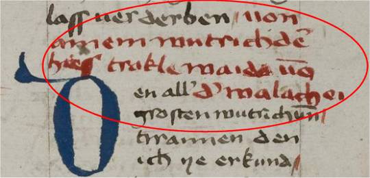 Michel Beheim: Von ainem wutrich der hies Trakle waida von der Walachei