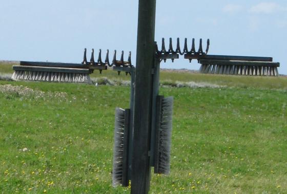 Hallig Hooge 2017: Kratzbaum für Rinder