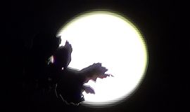 Supermond 11.08.2014