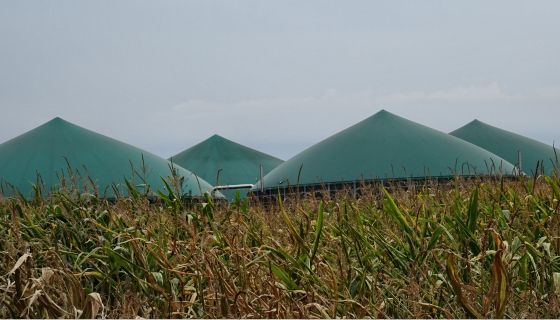 Die Pyramiden der Bioenergie: Biogasgewinnung bei Heidenau