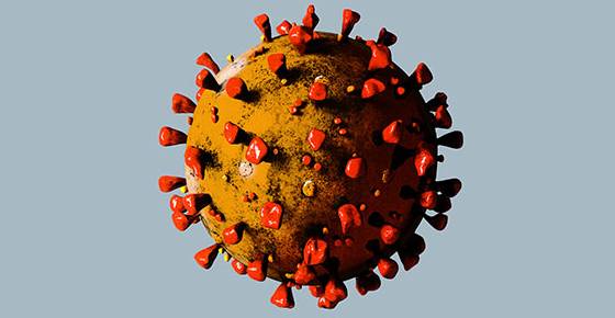 Coronavirus