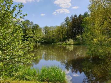 Teich (Este) bei Bötersheim