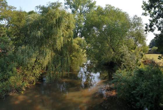 Wieder einmal ein Blick auf die Wümme