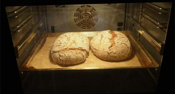 Willi backt Brot – zwei Roggen-Dinkelbrote im Ofen