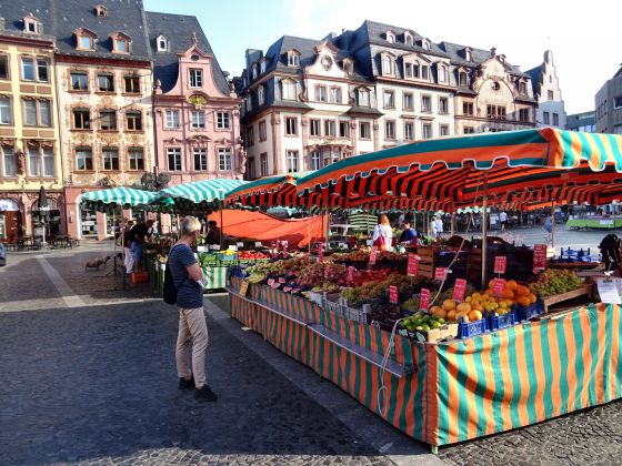 Wochenmarkt in der Mainzer Altstadt (1)